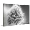 thumbnail image 6 of Marmont Hill "Enlightened Tree" Painting Print on Canvas, 6 of 7