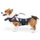 thumbnail image 2 of Chaleco salvavidas para perros con asa, ajuste ajustable, lindo chaleco de natación Abanopi Chaleco de mujer, 2 of 7