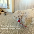 Interactive Rolling Dog Ball, Interactive Rolling Ball Dog Toy, Chewy