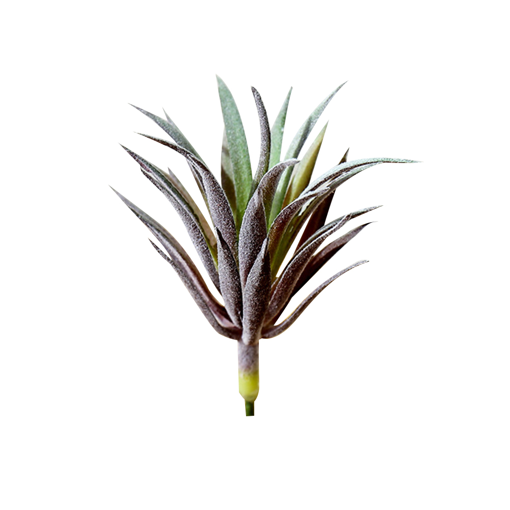 1 Pieces Realistic Artificial Faux Succulent Yucca Vera Greenhouse