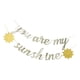 thumbnail image 4 of De Brillo Eres Banner Boda Baby Shower Cumpleaños Decoración Cautivador, 4 of 9