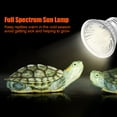 thumbnail image 4 of Uva uvb entero, lámpara de luz de calentamiento de reptiles Sunbathe Swamp 75 W Spectrum Sun Lizard Heat Bulb 75W, 4 of 7