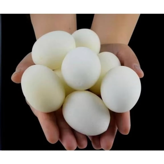 20pcs Sponge Eggs Magic Magician Classic Magic Toys Appear & Vanish Trick for Stage Illusions & Mentalism Magia Tricks