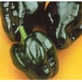 thumbnail image 1 of 50 Graines de Piment ANCHO POBLANO Piment Chili Capsicum Annuum Légumes, 1 of 1