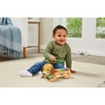 thumbnail image 5 of VTech Zoo Jamz Doggy Xylophone with Accessories, Baby and Toddler Toys, 5 of 11