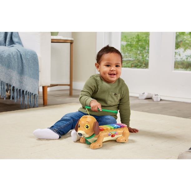 VTech Zoo Jamz Doggy Xylophone for Preschool Activities - Walmart