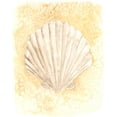 thumbnail image 2 of Warren, Annie 12x14 White Modern Wood Framed Museum Art Print Titled - Salty Seashell II, 2 of 4