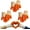 3pairs, variant on Silly Goose Gloves, Funny Goose Mittens & Winter Goose Gloves with Thermal Soft Lining, Cute Animal Design for Women Girls Family Gifts