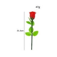 thumbnail image 3 of Magic Rose Magic Trick Magicien Gros Plan Accessoires Farce Outil, 3 of 3