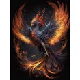 thumbnail image 1 of 5D DIY Taladro Phoenix Kit Del (NH3569), 1 of 9