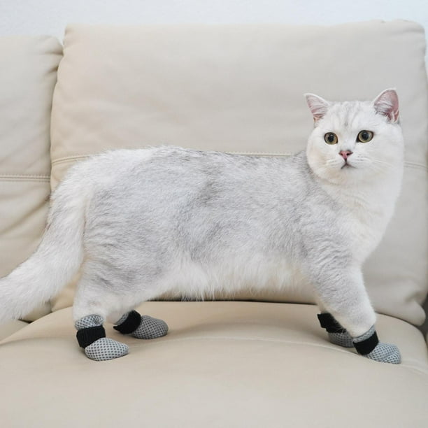 Cat boots with the fur clearance