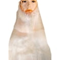 thumbnail image 1 of Morris Costumes LW354GY Larger Beard - Grey, 1 of 1
