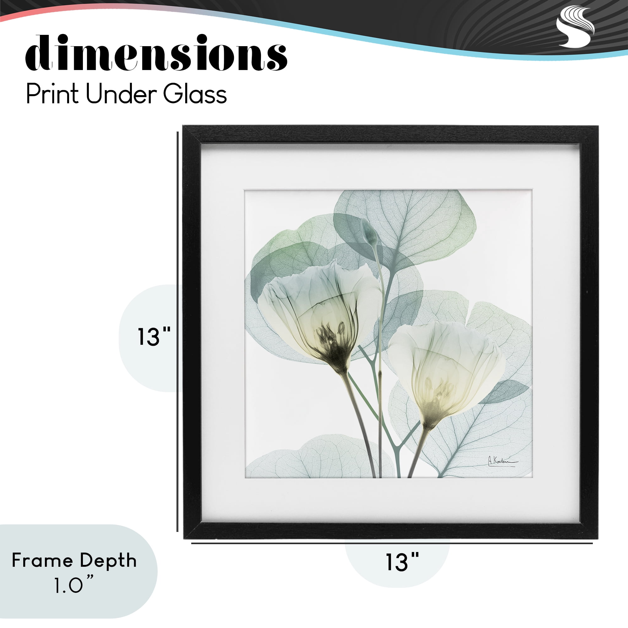 Stupell Industries Divine Fate Flower Leaves Black Framed Print Under Glass, design by Albert Koetsier