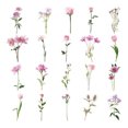 thumbnail image 5 of 240Pcs Pet Tulip Flower Stickers Waterproof Transparent Self-Adhesive Floral Stickers, 5 of 8