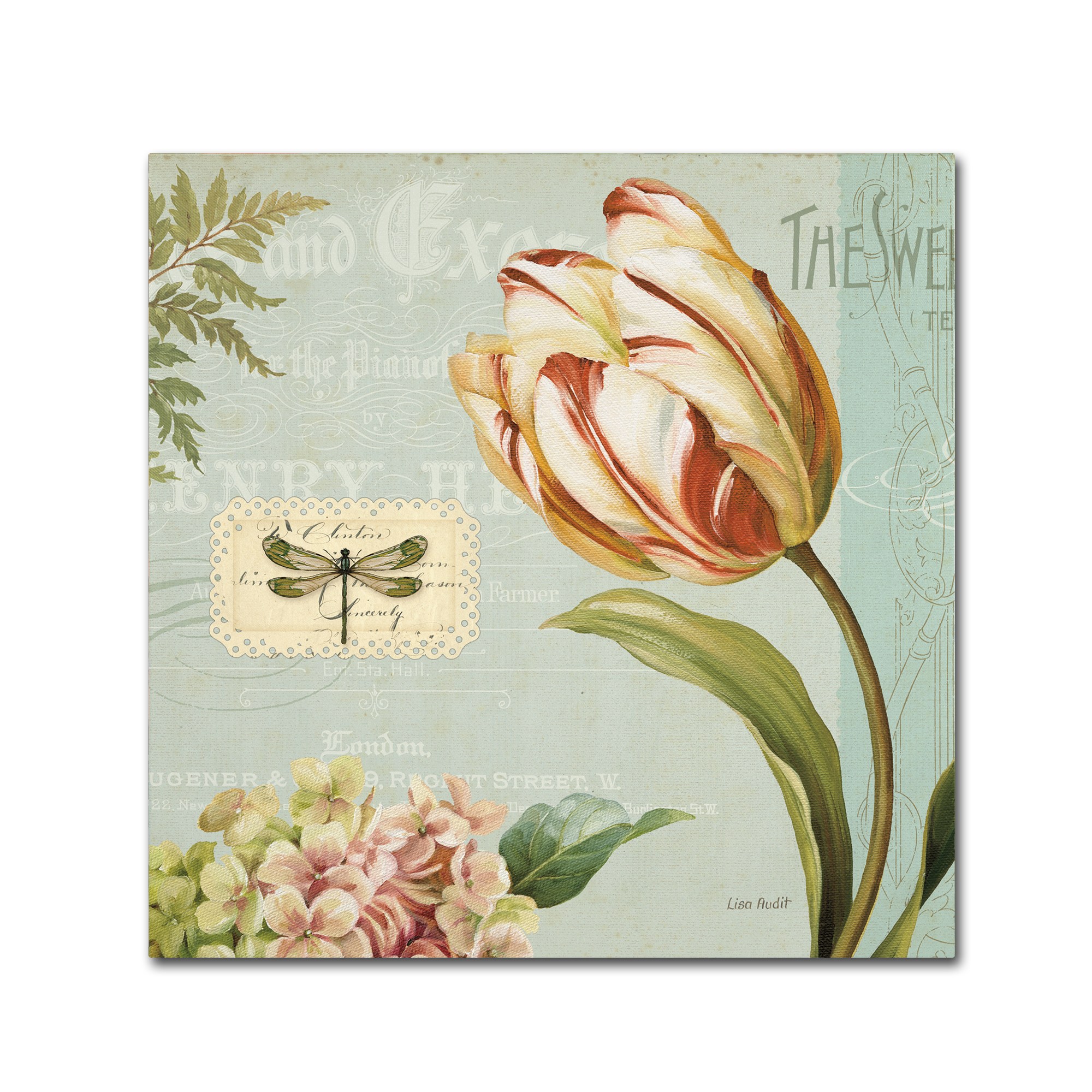 Trademark Fine Art "Mothers Treasure II" Canvas Art by Lisa Audit