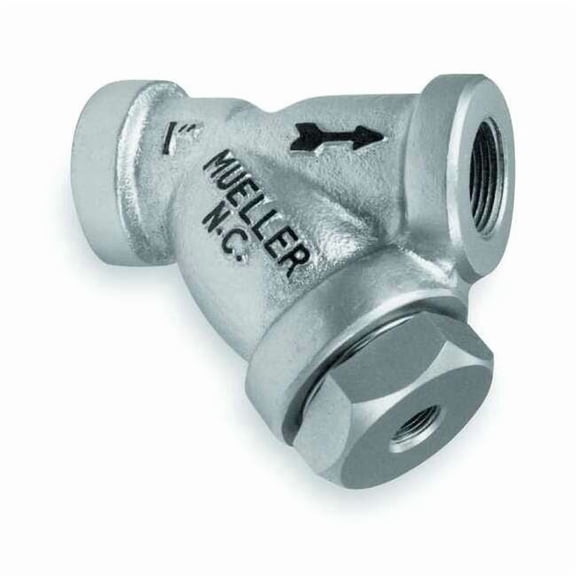 Y Strainer, 3/4" Pipe, FNPT x FNPT, Cast Carbon Steel