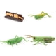 thumbnail image 1 of Vogacara 1 Juego de modelo de gusano de pala, Material plástico Premium, figuritas de insectos significativas, modelos de crecimiento educativo temprano Juguetes Educativos langosta tipo1 NO2 Vogacara FN010083-01, 1 of 1