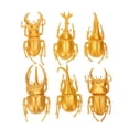 thumbnail image 3 of Wchiuoe Accessoires Durables, Modèle d'Insecte, pour la Journée, 3 of 8