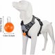 thumbnail image 5 of 2 Piezas de Luz LED Colgante para Perro, Luz para Collar de Perro, Collar de Luz Nocturna para Perro, Luz de Seguridad Impermeable para Mascotas, Naranja, Versalles, 5 of 5