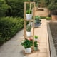 thumbnail image 1 of Estante para flores, soporte para plantas de madera, estante para plantas macizo, soporte para plantas de madera, artesanía excepcional, 1 of 9