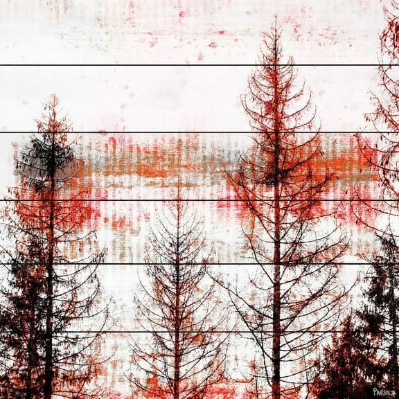 Parvez Taj Pt-Wnpw-105-Ww-32 32" x 32" "Orange Hue" Art Print On White Wood