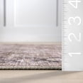 thumbnail image 6 of nuLOOM Rania SplashGuard Medallion Machine Washable Area Rug, 9' x 12', Rania Brown, 6 of 11