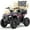FLAG, variant on 40 cc Trail Blazer Ride-On Buggy,4 Stroke Dual-Speed Off-road 4-Wheeler, Key-Lock Safe & 10-15.5mph, Front & Rear Shocks and Knobby Tires for Grass, Dirt and Gravel,BLUE