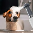 thumbnail image 2 of Automatic Pet Bath Foamer - Portable Shampoo Sprayer for Dogs & Cats, Rechargeable Grooming Tool Creates Rich Lather for Easy Washing & Rinsing, 2 of 5