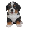 thumbnail image 5 of HI-LINE GIFT LTD. BERNESE MOUNTAIN DOG PUPPY, 5 of 5