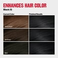thumbnail image 4 of Revlon ColorSilk Tone + Gloss + Care Demi-Permanent Hair Color, 1 Black, 4.5 fl oz, 4 of 13