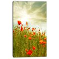 thumbnail image 2 of Design Art - Red Poppy Flowers in Green Field, 2 of 3