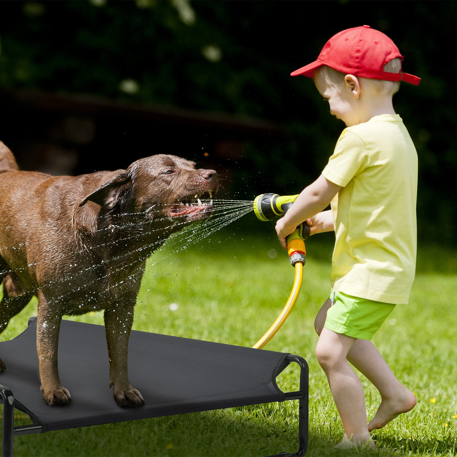 Veehoo Original Cooling Elevated Dog Bed, Raised Dog Cot with Washable Mesh, Medium, Black