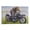 style-2, variant on David Mann Motorcycle Art Gnghost Rider Prints Poster (32) Home Decor Poster Wall Art Hanging Picture Print Bedroom Decorative Painting Posters Room Aesthetic 11x14inch(28x35cm)