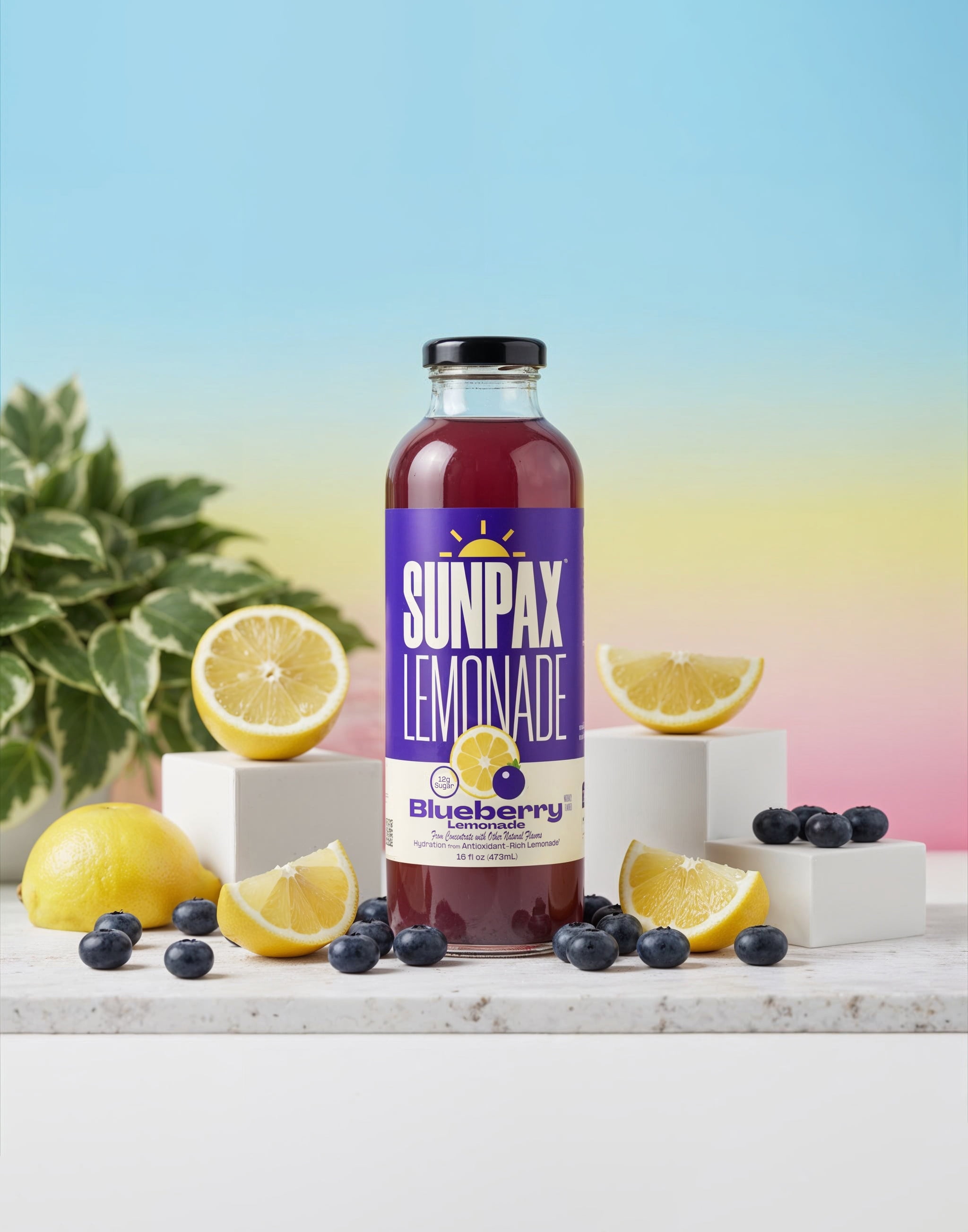 Sunpax Non GMO, All Natural Juice, Blueberry Lemonade, 16 fl oz