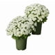 thumbnail image 1 of Flores artificiales de atardecer para exteriores | 5 ramos de plantas artificiales para decoración del hogar y eventos, 1 of 1