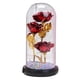 thumbnail image 1 of Rosa iluminada, rosa encantada con lámpara LED, flores artificiales, rosa falsa, regalo rojo, 1 of 7