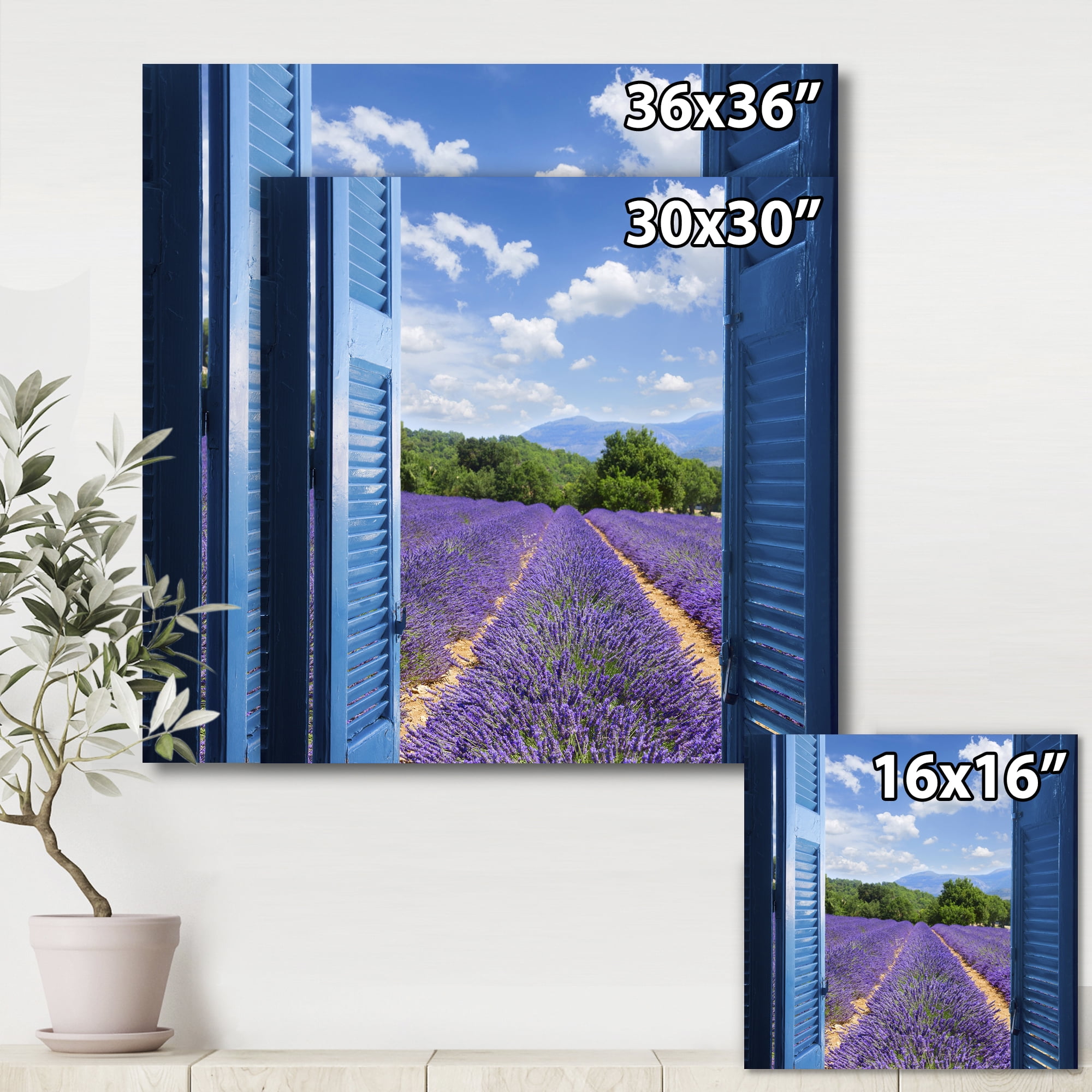 Designart ' View of Lavender Field Through Blue Open Cottage Window ' Farmhouse Canvas Wall Art Print