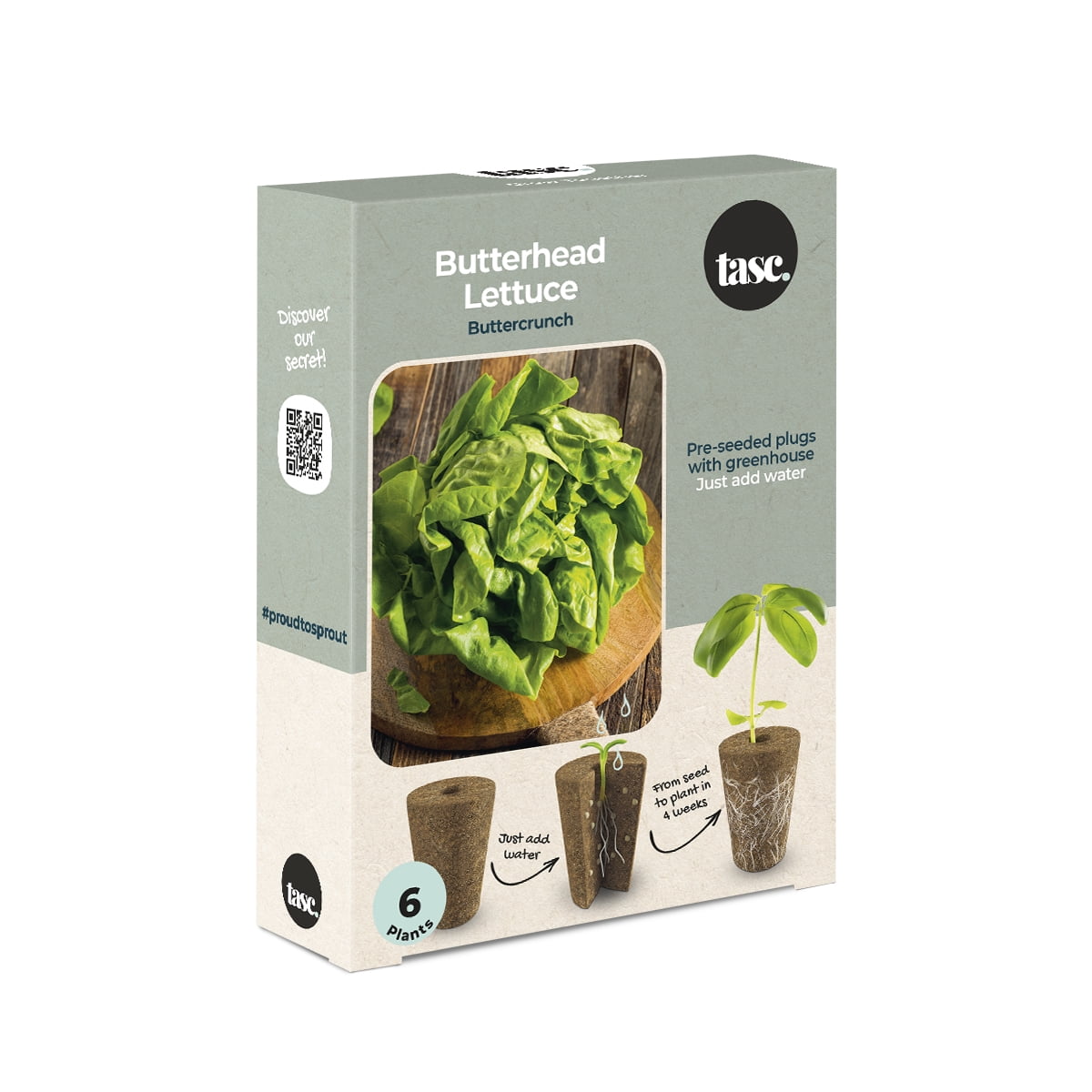 TASC PreSeeded Butterhead Lettuce Plugs with Greenhouse (Count, 6 Seed