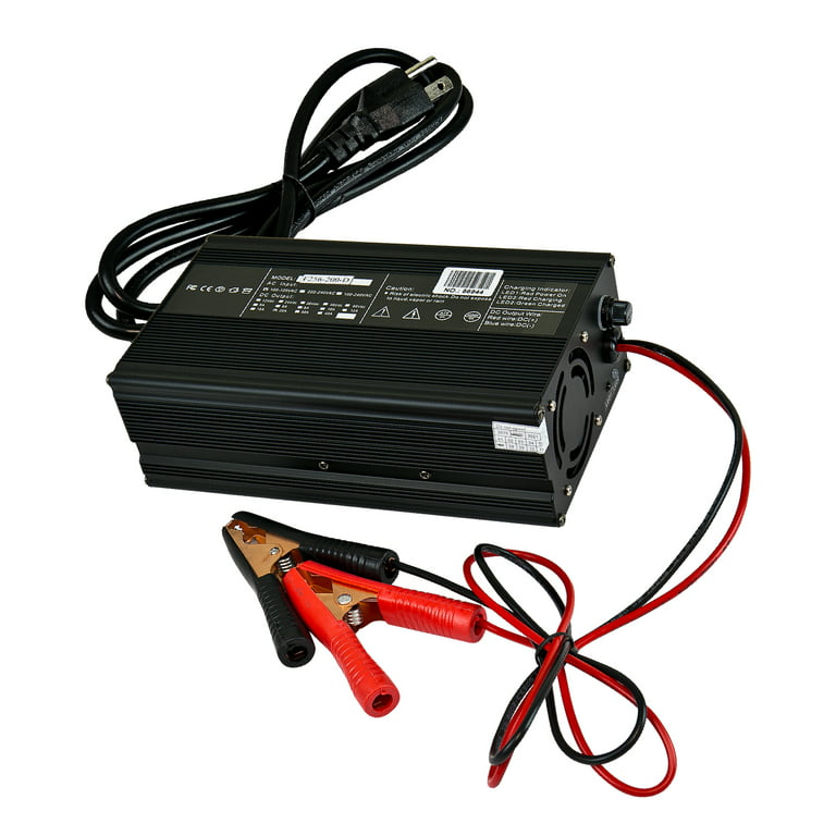 20A 12V Smart Battery Charger for Lithium (LiFePO4) Batteries