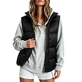 thumbnail image 3 of DYTTDG Women's Solid Color Stand Collar Puffer Vest, Full Zipper Sleeveless Outerwear With Side Pockets, Lightweight Casual Quilted Gilet for Fall Winter Daily Wear, 3 of 8