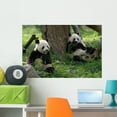 thumbnail image 1 of Giant Pandas Field Wall Mural by Wallmonkeys Peel and Stick Graphic (36 in W x 24 in H) WM43166, 1 of 4