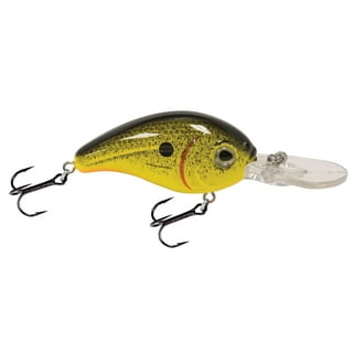  Livingston Lures Fresh Water Series DM JR Chartreuse Splatter  Shad : Fishing Topwater Lures And Crankbaits : Sports & Outdoors