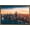 Bronze Framed Version, variant on Cityscapes - Chicago, Illinois Wall Poster, 14.725" x 22.375", Framed