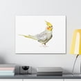 thumbnail image 3 of Majestic Cockatiel Art Majestic Cockatiel Print Animal Wall Art Wildlife Canvas Prints Wall Art Ready to Hang Unframed, 3 of 18