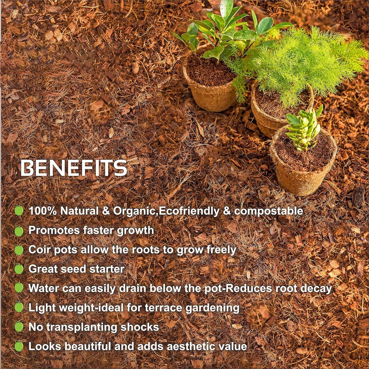 Tutuviw Coco Coir Nursery Pots,10 Pcs Biodegradable Small Plants Pots,Coconut Fiber Seedling Pots for Seed Starter,Seed Starter Tray for Indoor Outdoor,Organic Planting (2.6in)