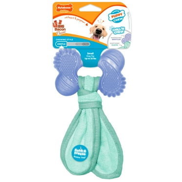 Nylabone Puppy Chew Freezer Dog Toy Bacon Small - Up to 25 Ibs. (1 Count)