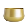 thumbnail image 1 of Kearding 2 uds. Florero dorado con orificio de jarrón de Metal, organizador de almacenamiento moderno decorativo para boda, sala de estar al Jardín y Patio oro 18 cm * 16 cm * 10.5 cm, 1 of 6
