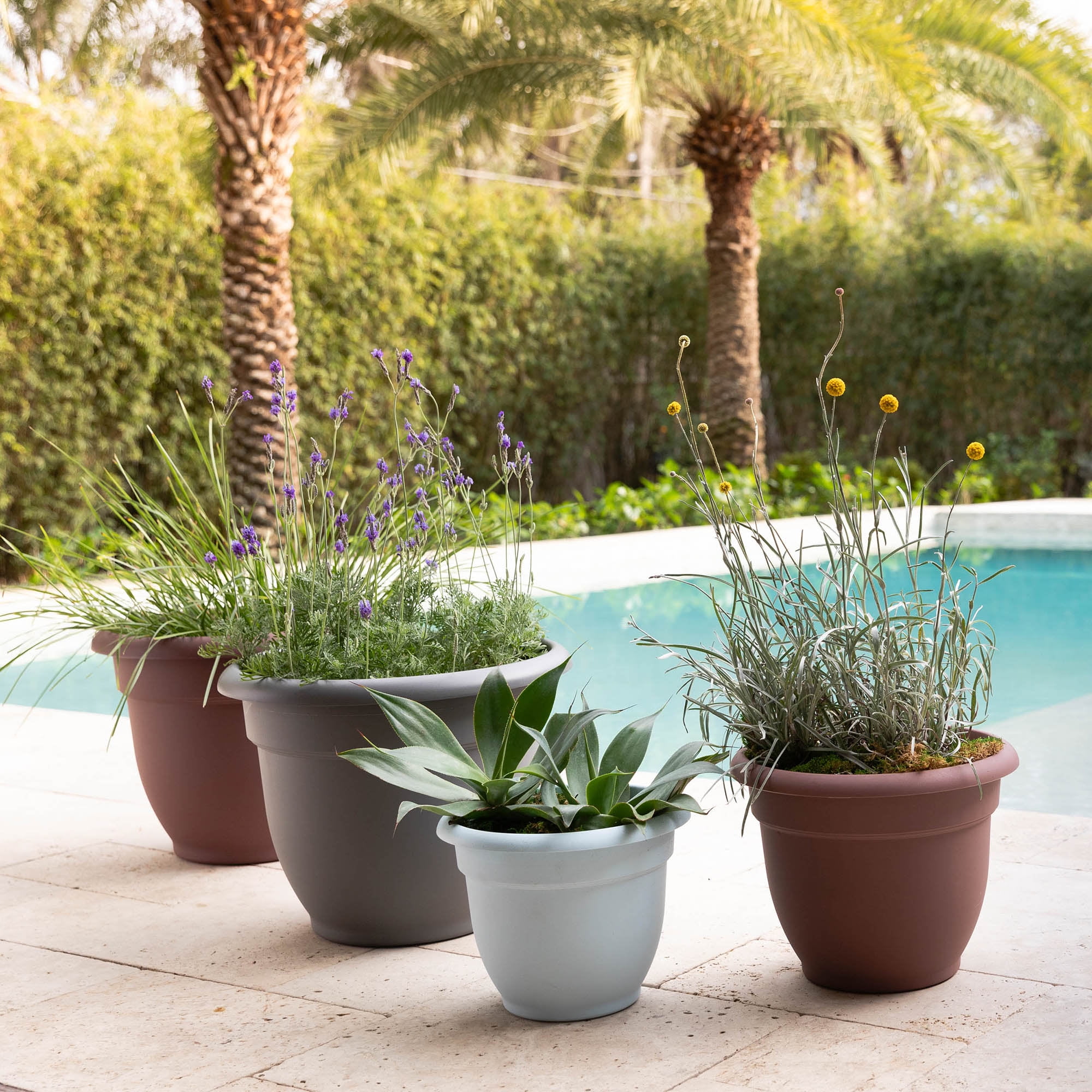 Bloem Ariana Pot Planter: 12" - Merlot - Durable Resin Pot, For Indoor and Outdoor Use, Gardening, Self Watering Disk Included, 3 Gallon Capacity