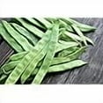 thumbnail image 2 of Roma II Italian Bush Bean Seeds for Planting, 30+ Heirloom Seeds Per Packet, (Isla's Garden Seeds), Non GMO Seeds, Botanical Name: Phaseolus vu aris, Great Home Garden Gift, 2 of 8