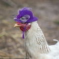 thumbnail image 4 of Chicken Hats for Hens Soft Light Fabric Adjustable Elastic Strap Feather Decorated Sun Rain Protection for Hens Rooster Parrot Poultry Daily Party, 4 of 4